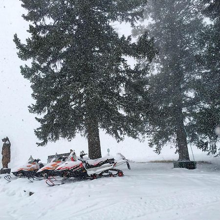 Arrowhead Mountain Lodge Cimarron Oda fotoğraf