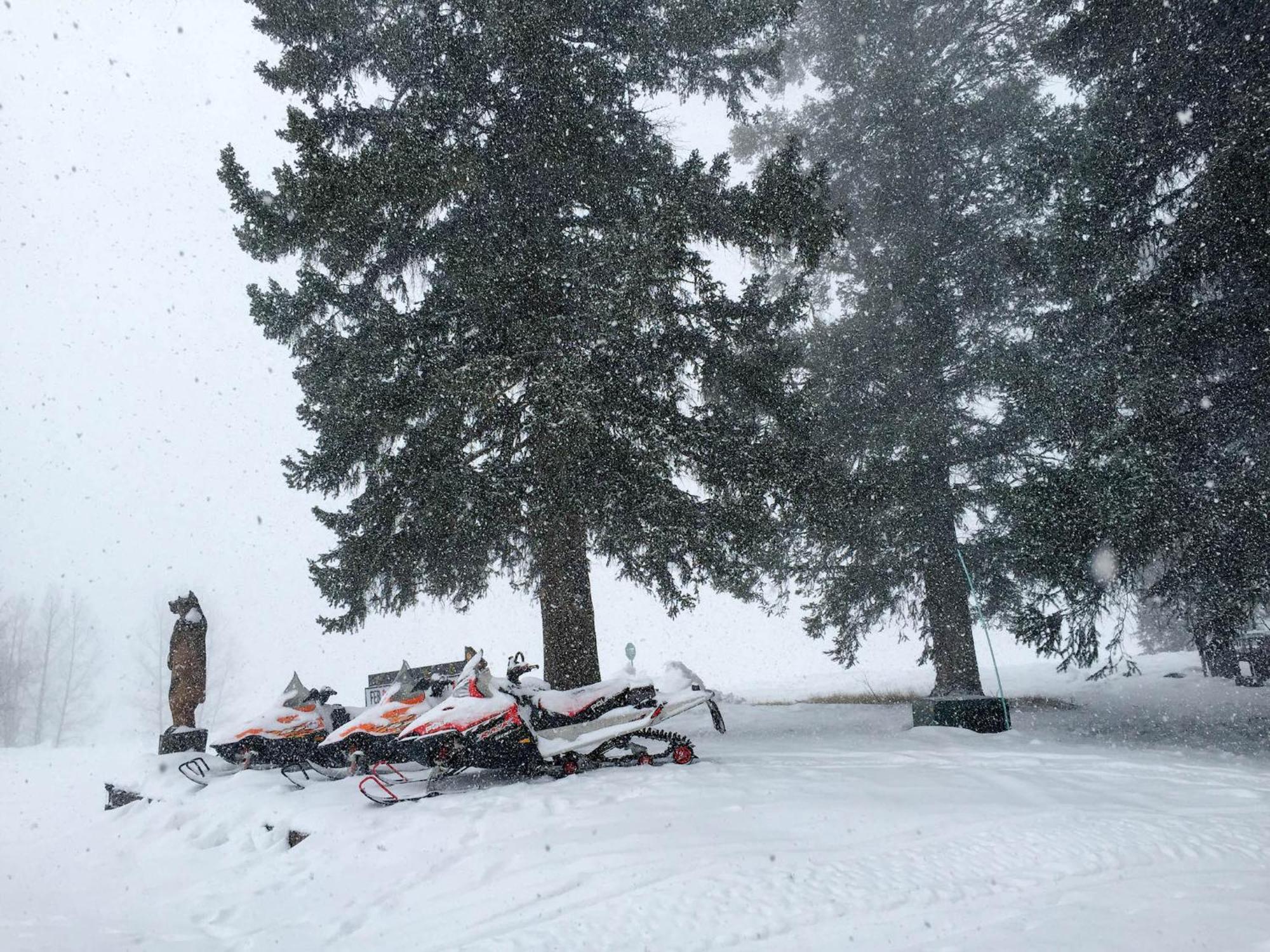 Arrowhead Mountain Lodge Cimarron Oda fotoğraf